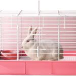 Rabbit Enclosure Cozy Indoor Pet Rabbit Cage Discover the Ideal Home