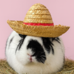 Edible Rabbit Toy | SnuggleSafe | I’ll Eat My Hat