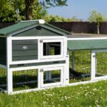 Shadow XL Green Rabbit Hutch