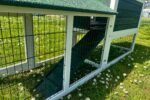 6ft Rabbit Hutch – Green Design – Fox Resistant Hutch - Image 7