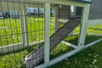 5ft Long Rabbit Hutch – Smokey Grey - Image 5