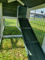 Shadow XL Green Rabbit Hutch - Image 9