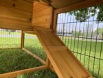 Shadow XL Rabbit Hutch - Image 3