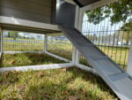 Shadow XXL Grey Rabbit Hutch - Image 6