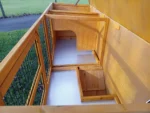 THUMPER DELUXE XL Rabbit Hutch – Welfare Standard Approved - Image 4