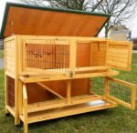 Classic XL Natural 2 Tier Large Rabbit Hutch - Image 7