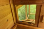 Wider Shadow XXL Natural Rabbit Hutch - Image 20