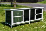 THUMPER XL Green Rabbit Hutch