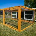 Thumper Green XL Rabbit Hutch with Run